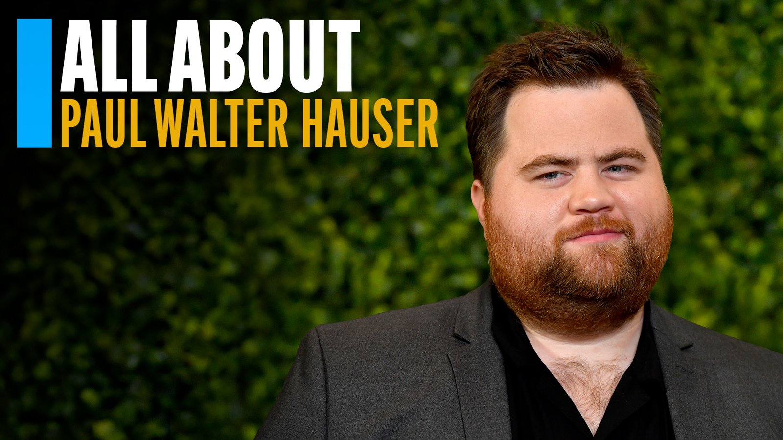 paul walter hauser movies and tv shows